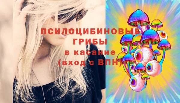 а пвп мука Пересвет