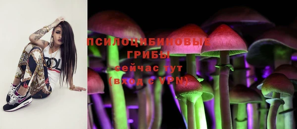 дмт Пестово