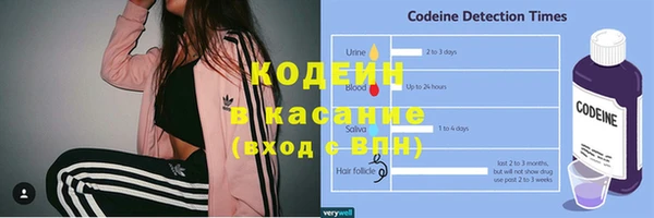 дмт Пестово