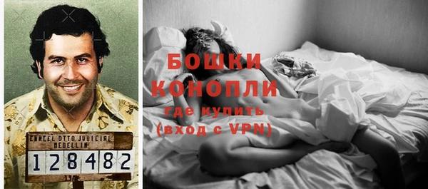 дмт Пестово