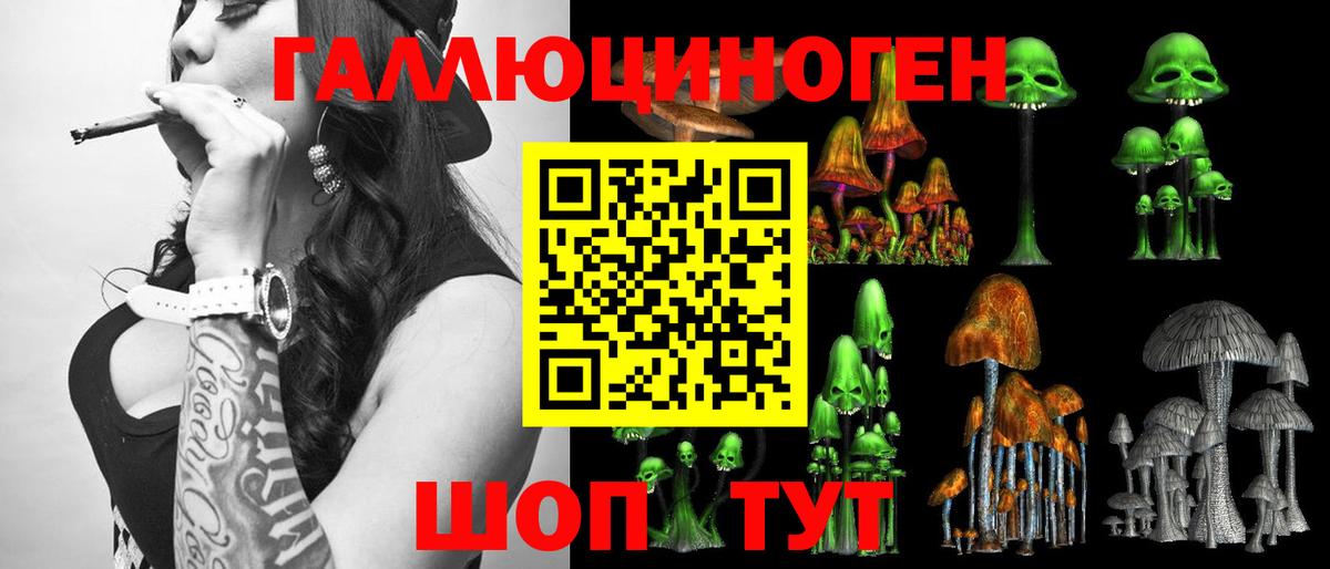 Псилоцибиновые грибы MAGIC MUSHROOMS  Вход с VPN  Махачкала 
