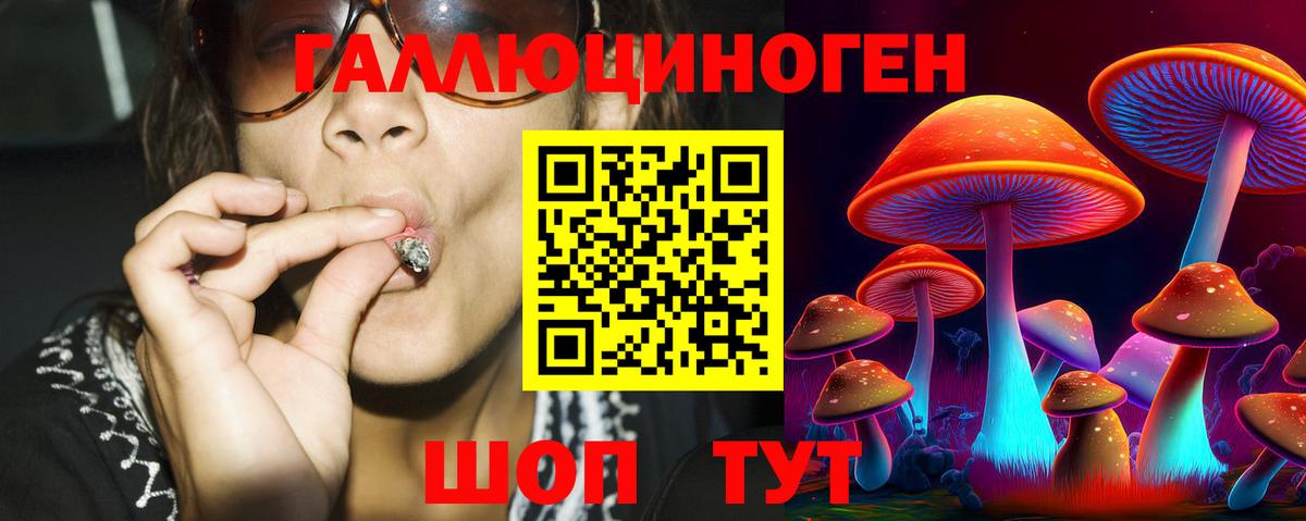 Псилоцибиновые грибы GOLDEN TEACHER Махачкала